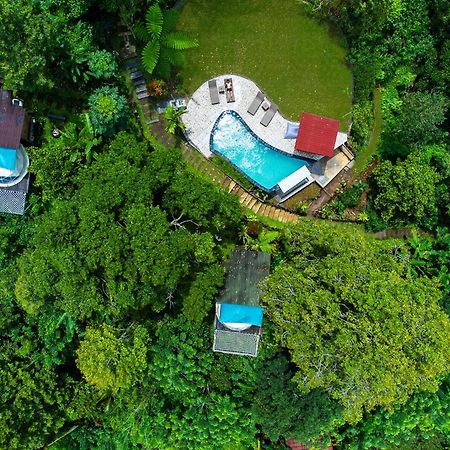 Bali Jungle Camping By Amerta Experience Tabanan Zewnętrze zdjęcie