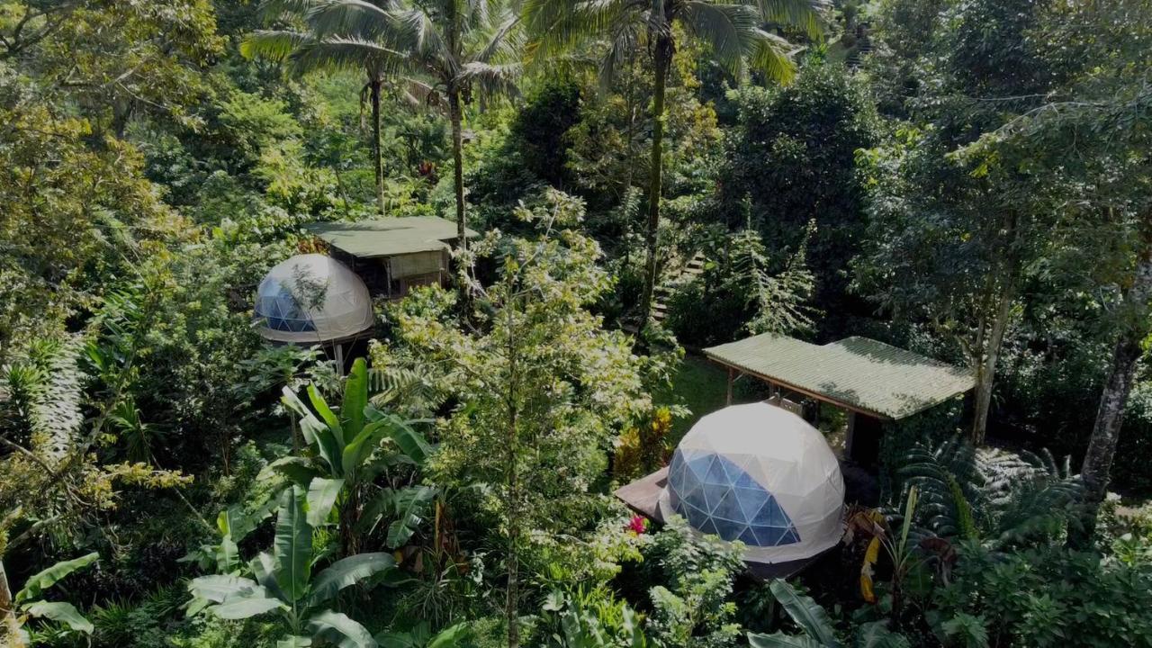 Bali Jungle Camping By Amerta Experience Tabanan Zewnętrze zdjęcie