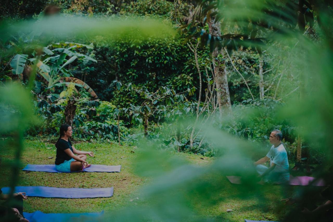 Bali Jungle Camping By Amerta Experience Tabanan Zewnętrze zdjęcie