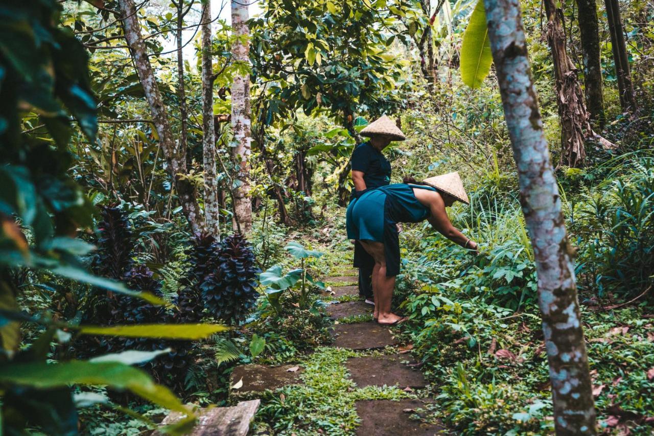 Bali Jungle Camping By Amerta Experience Tabanan Zewnętrze zdjęcie