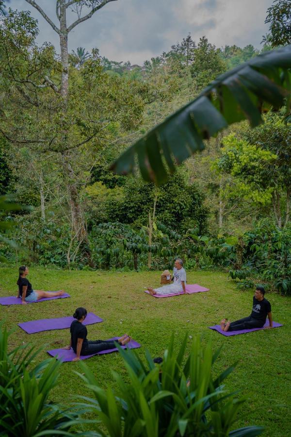 Bali Jungle Camping By Amerta Experience Tabanan Zewnętrze zdjęcie