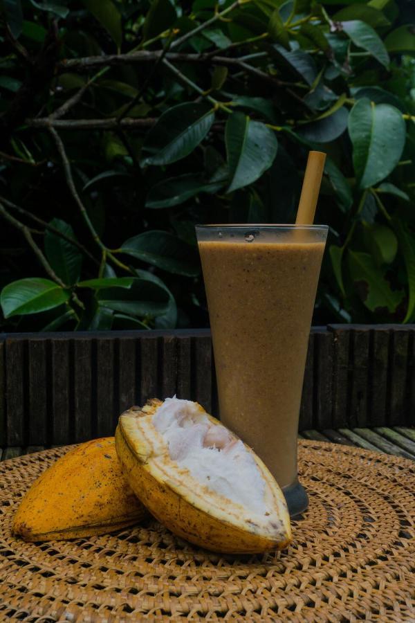 Bali Jungle Camping By Amerta Experience Tabanan Zewnętrze zdjęcie