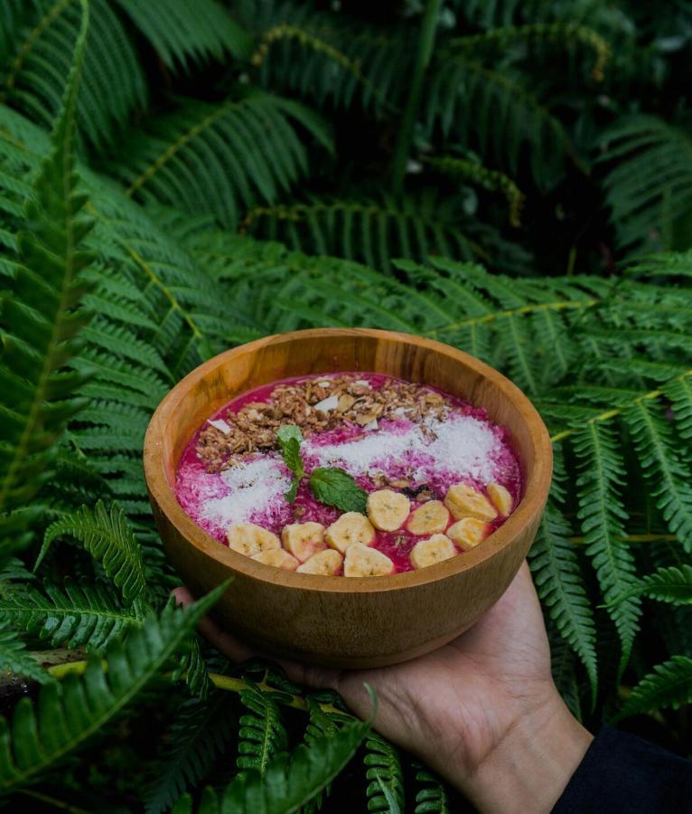 Bali Jungle Camping By Amerta Experience Tabanan Zewnętrze zdjęcie