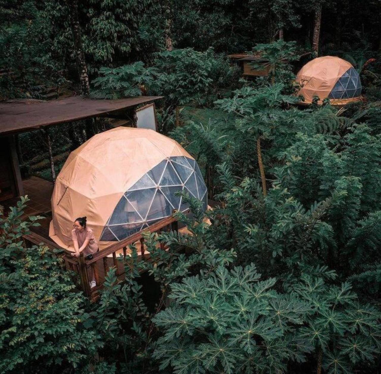 Bali Jungle Camping By Amerta Experience Tabanan Zewnętrze zdjęcie