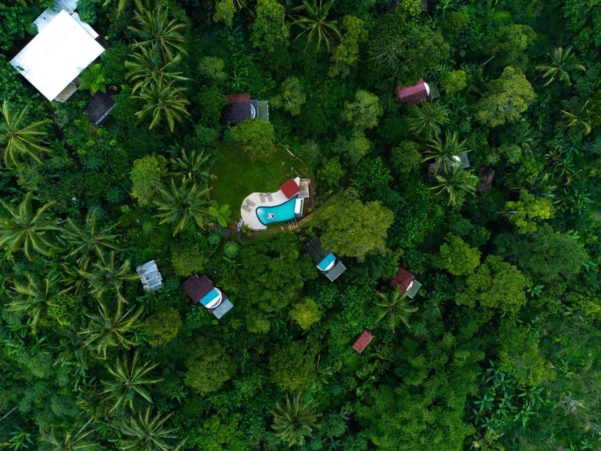 Bali Jungle Camping By Amerta Experience Tabanan Zewnętrze zdjęcie